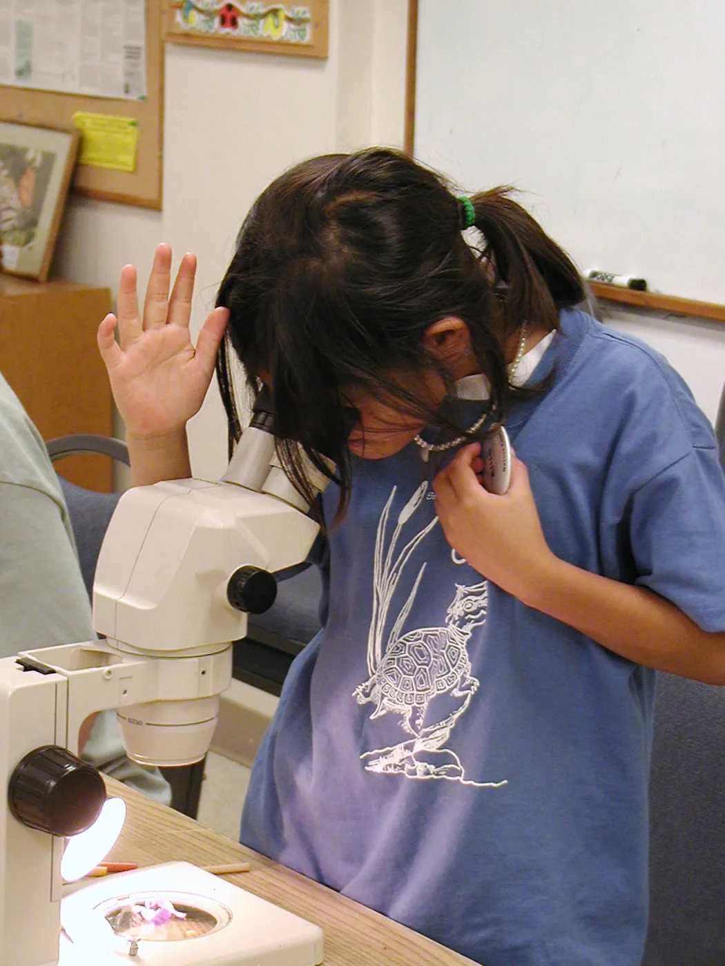 Summer Camp 2003, parts of a flower lab