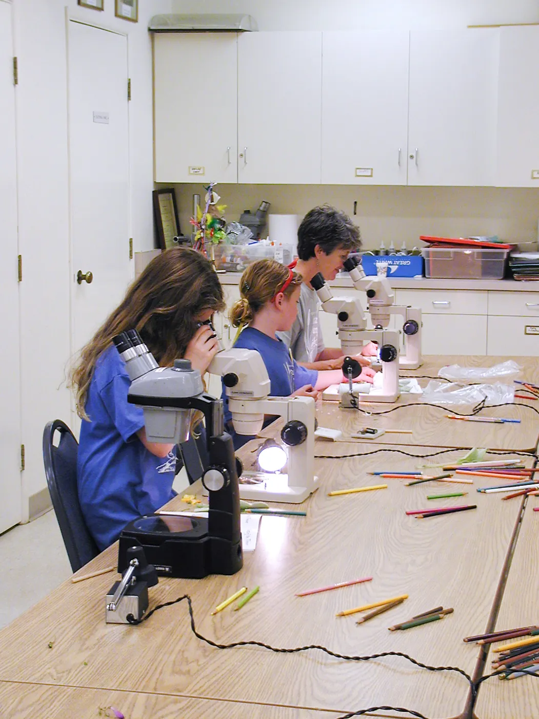 Summer Camp 2003, parts of a flower lab