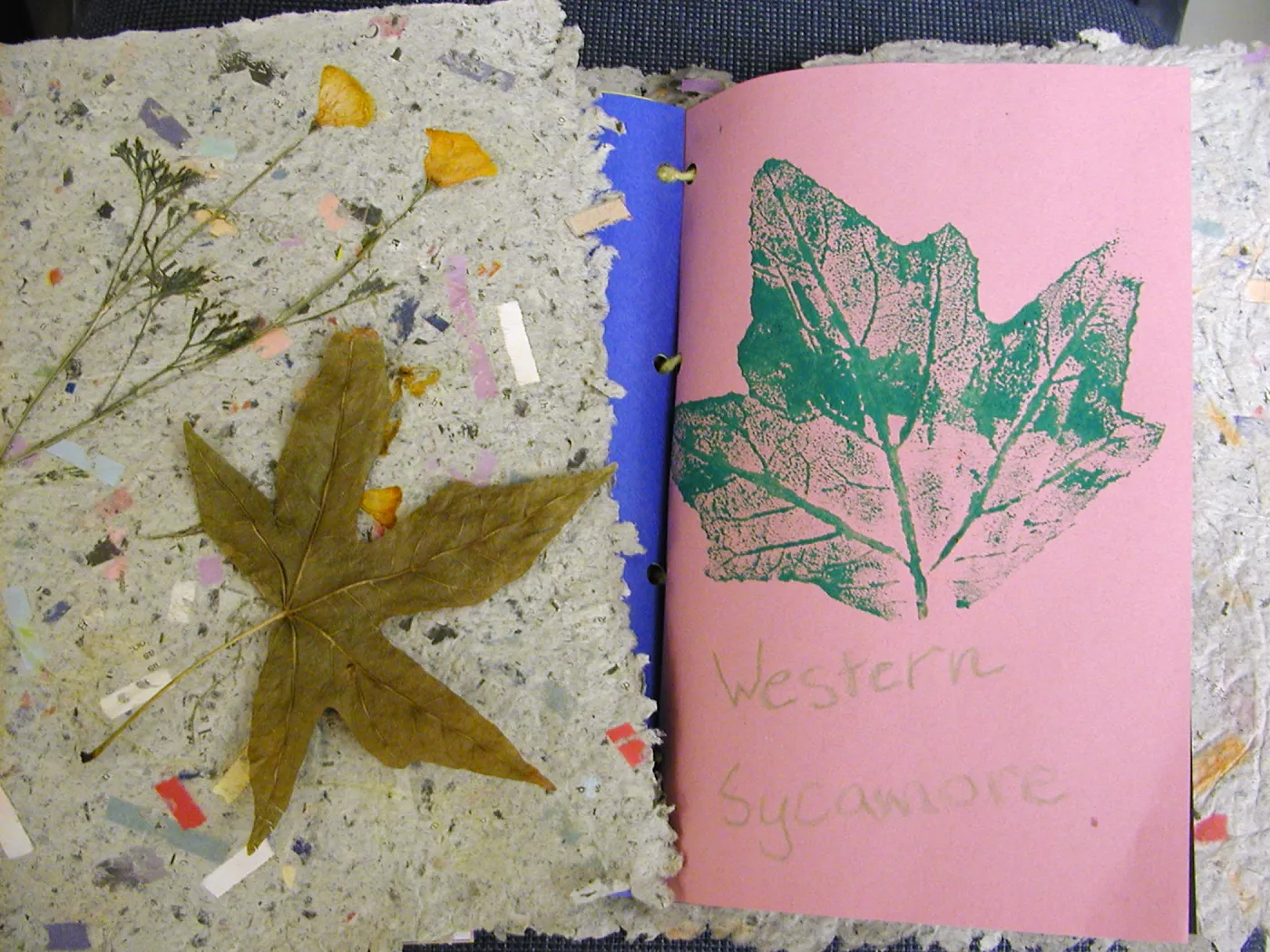 Summer Camp 2003, papermaking and leaf printing