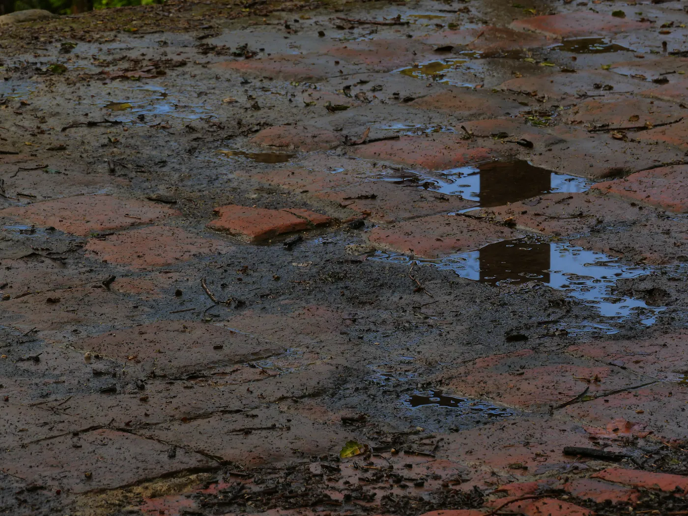 Reflection on Mission Dam tiles after a rainstorm