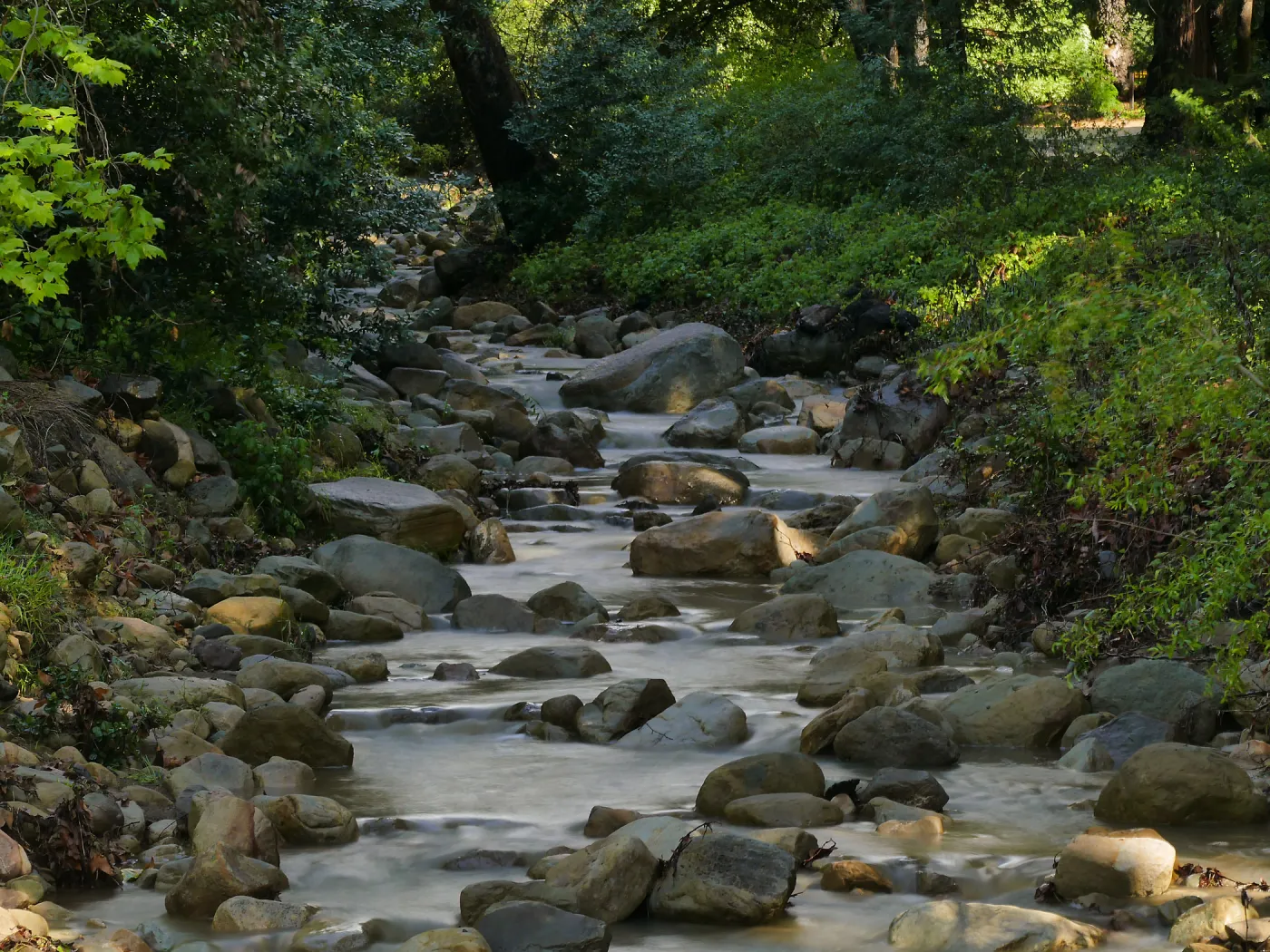 Rain-swollen Mission Creek just above the Mission Dam