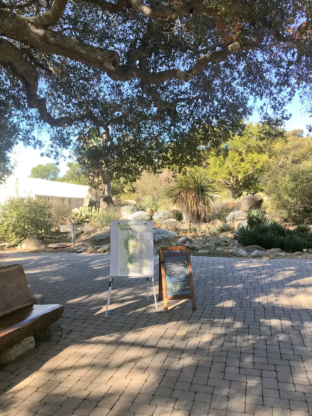 Garden's 95th Birthday display