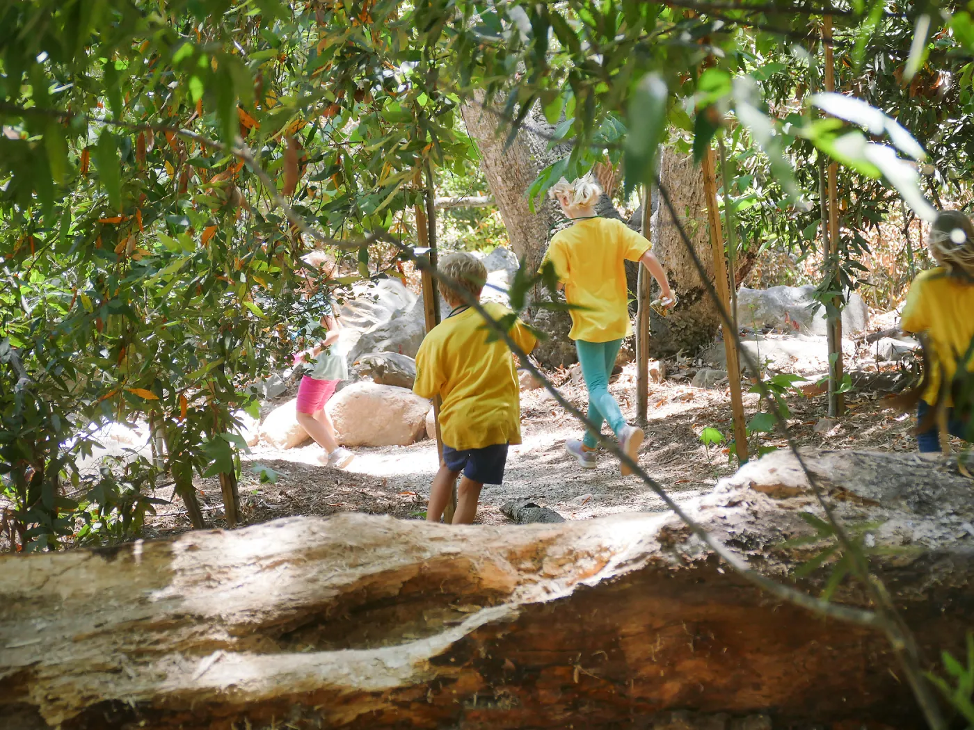 Acorn Adventurers Summer Camp