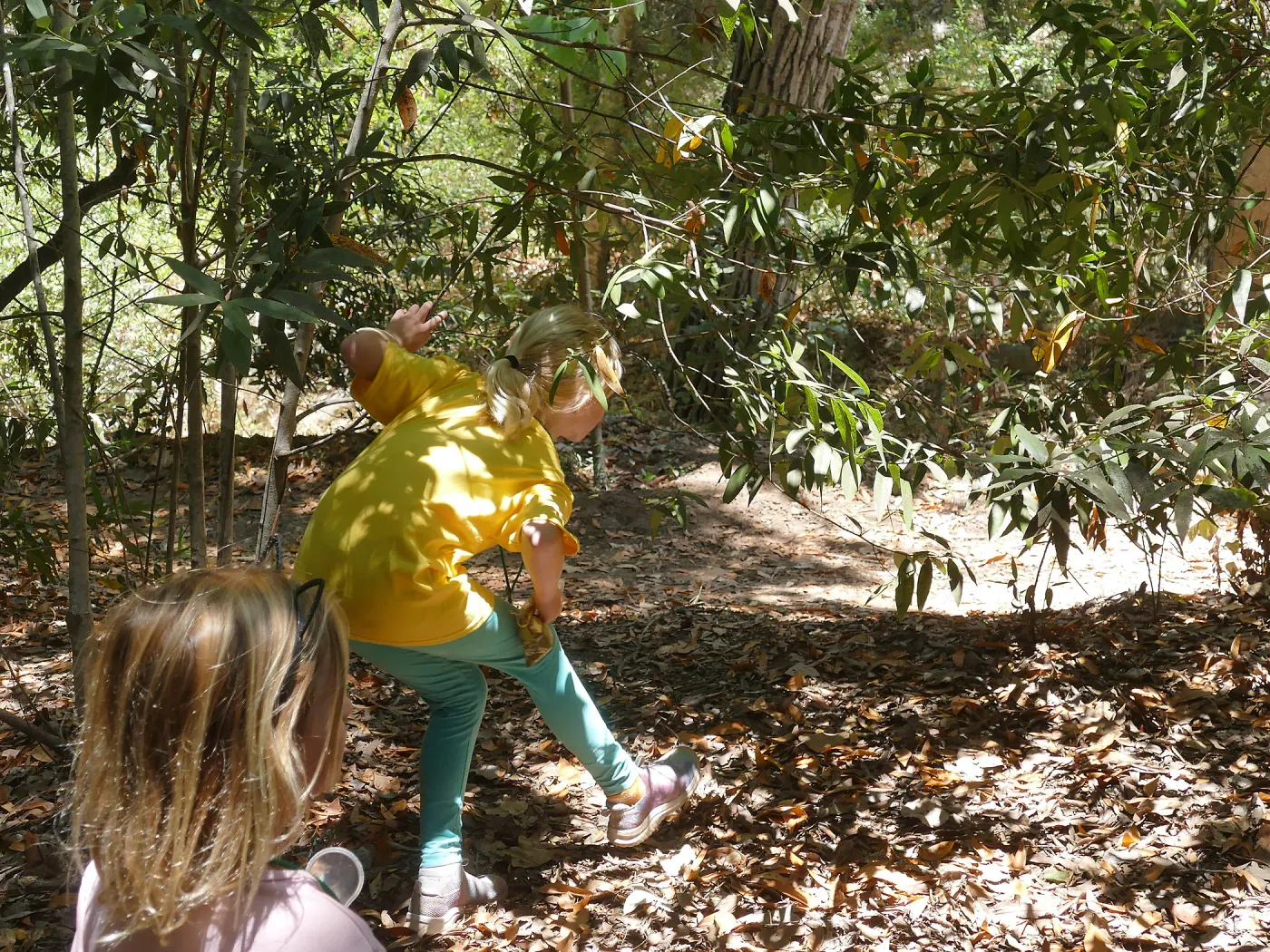 Acorn Adventurers Summer Camp