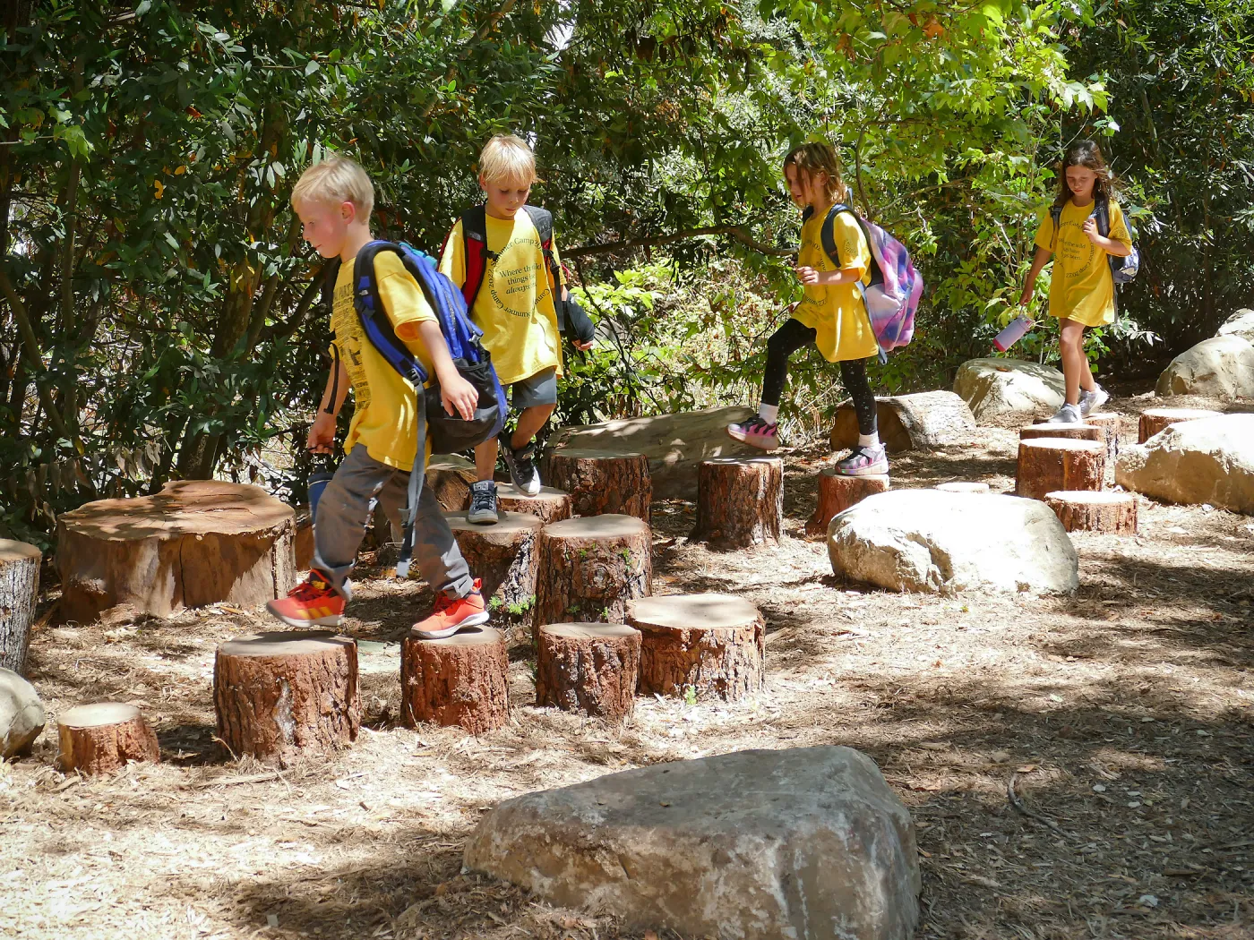 Create in Nature Summer Camp