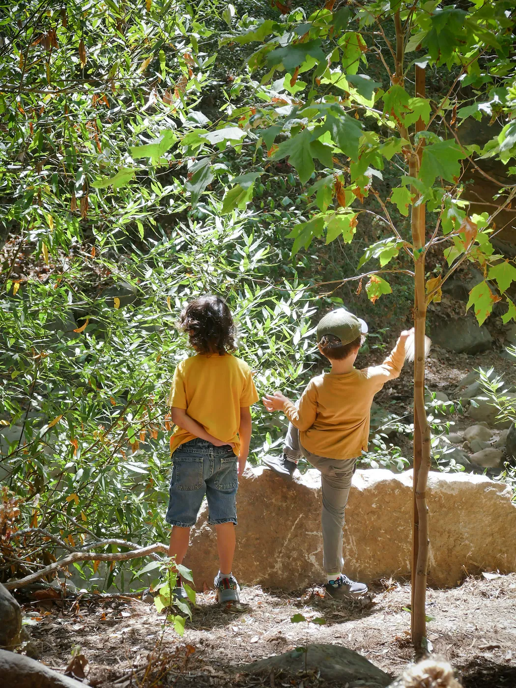 Acorn Adventurers Summer Camp