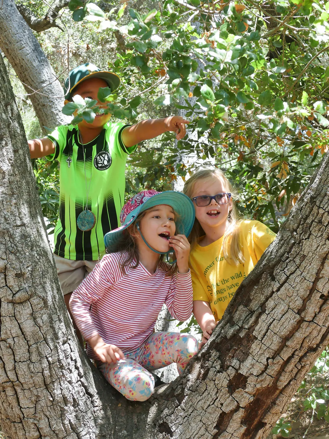 Create in Nature Summer Camp