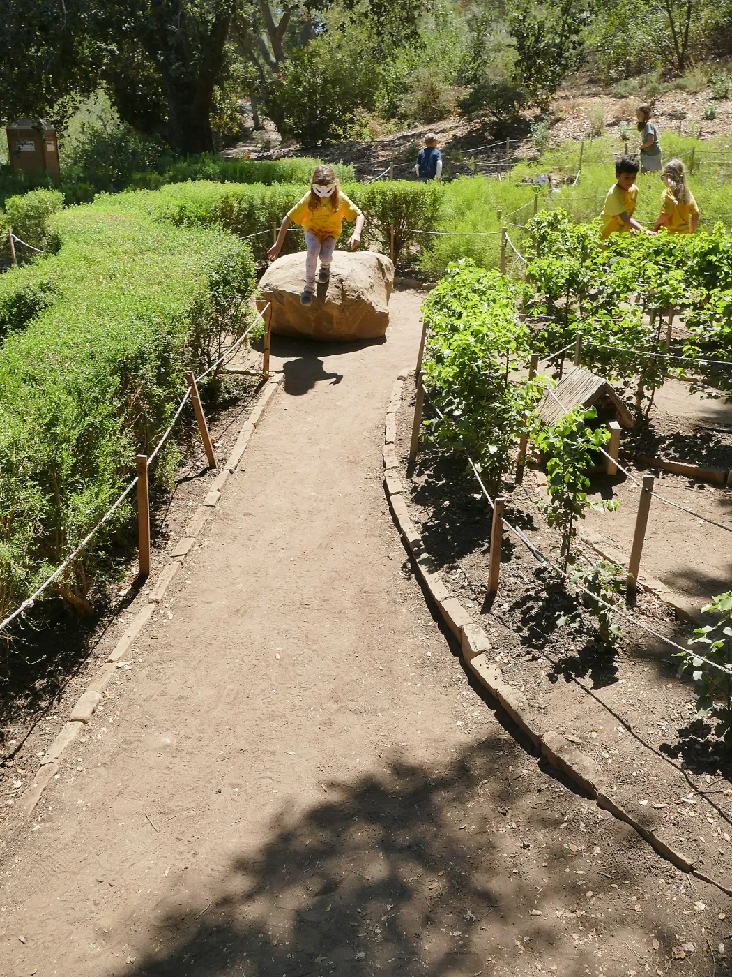Create in Nature Summer Campers at the Centennial Maze