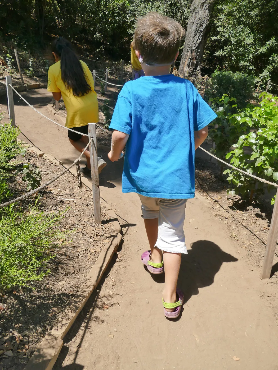Create in Nature Summer Campers at the Centennial Maze