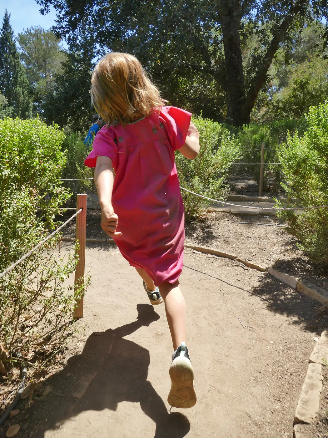 Create in Nature Summer Campers at the Centennial Maze