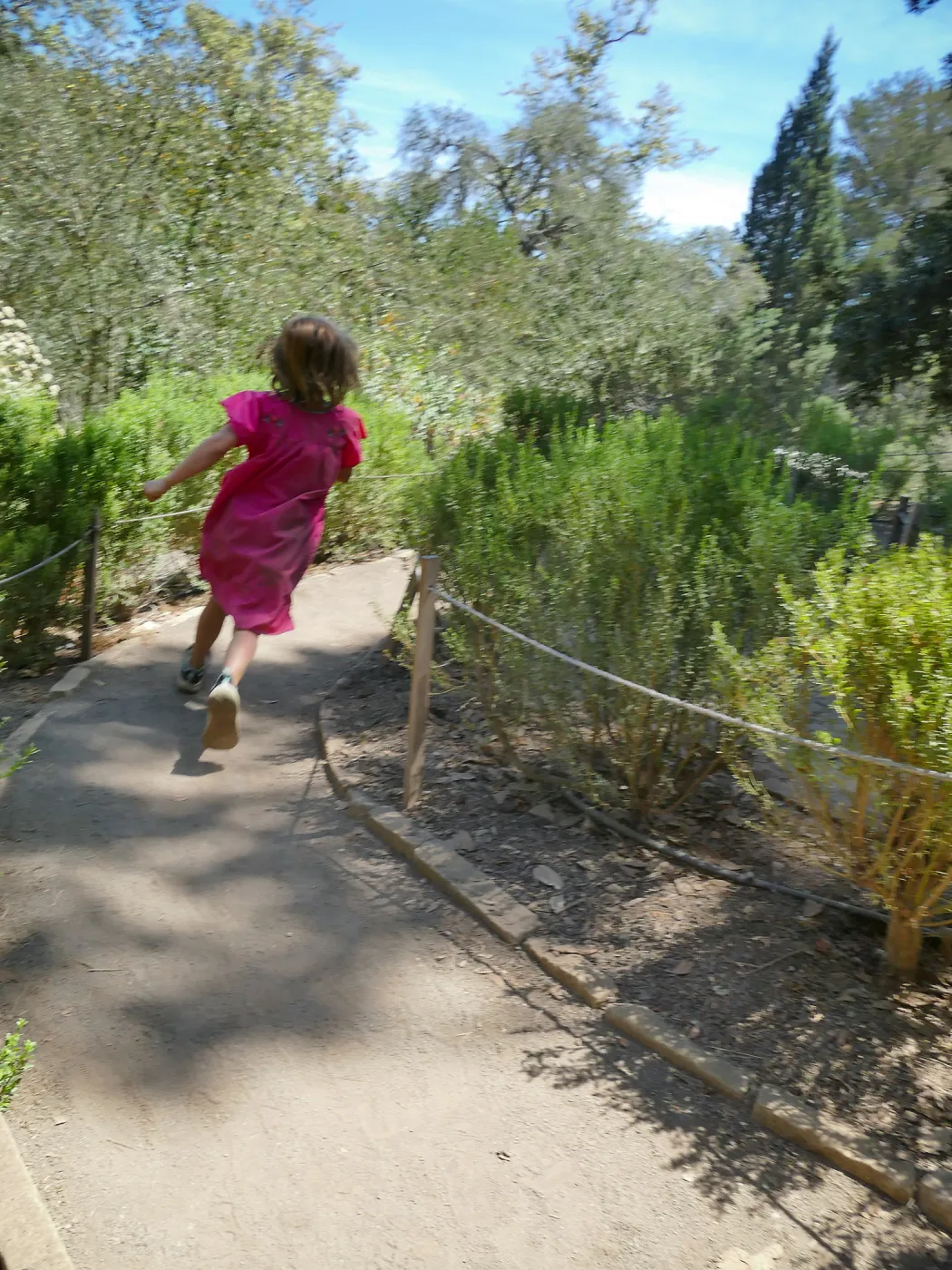 Create in Nature Summer Campers at the Centennial Maze