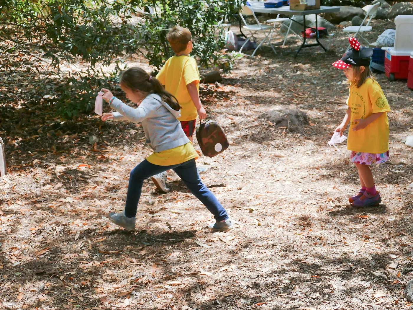 Acorn Adventurers Summer Camp
