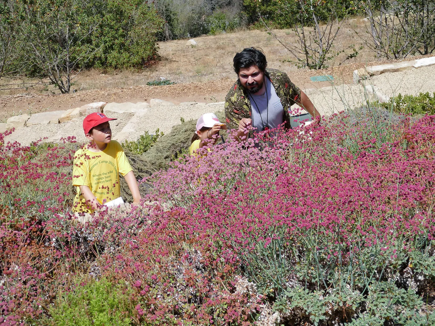 Jr. Naturalist Summer Camp Pollinator Survey Activity
