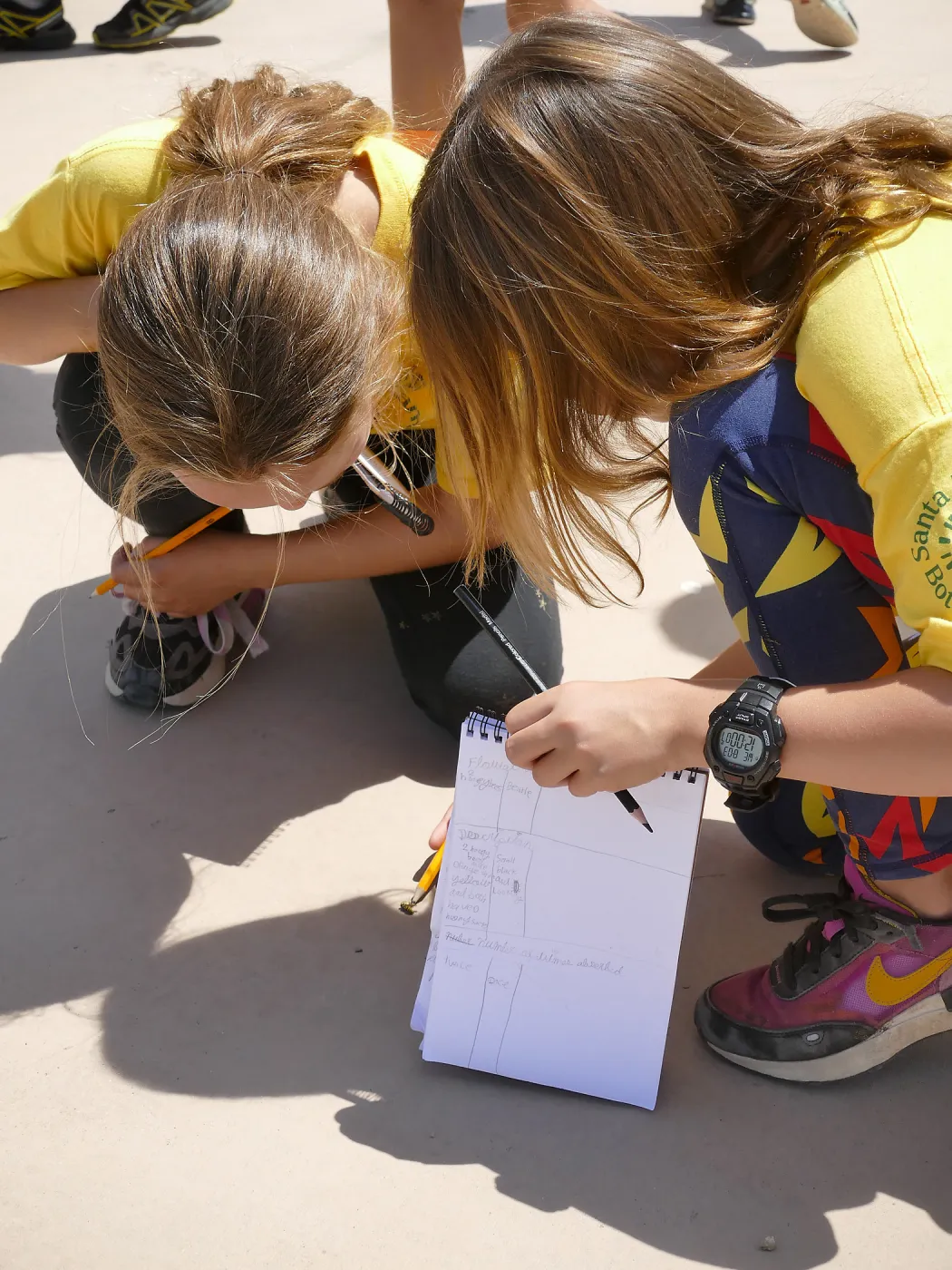 Jr. Naturalist Summer Camp Pollinator Survey Activity