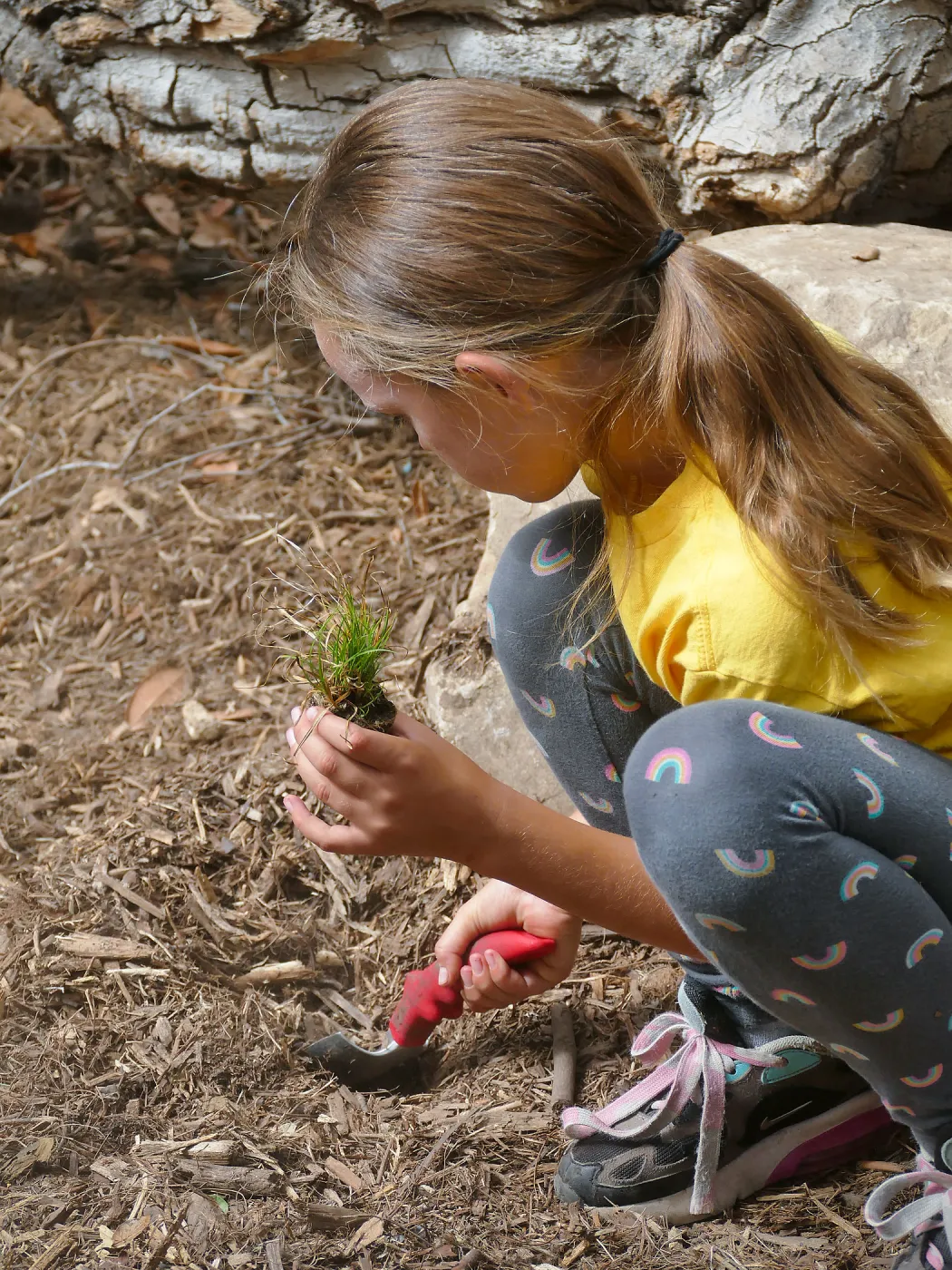 Jr. Naturalist Summer Camp Planting Activity