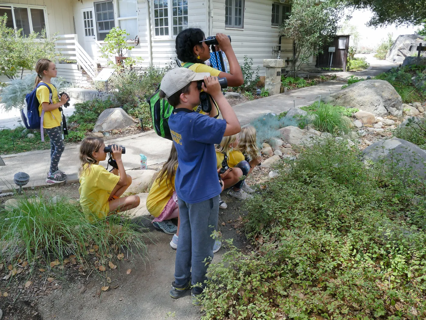 Jr. Naturalist Summer Campers Observing a Hawk