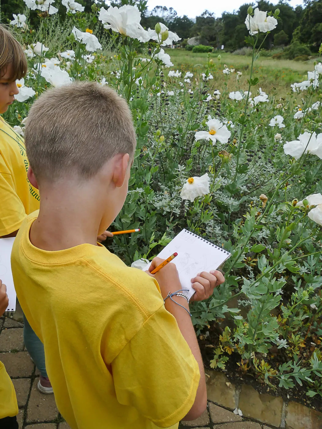 Neighbors in Nature Summer Camp, Plant identification and journaling activity