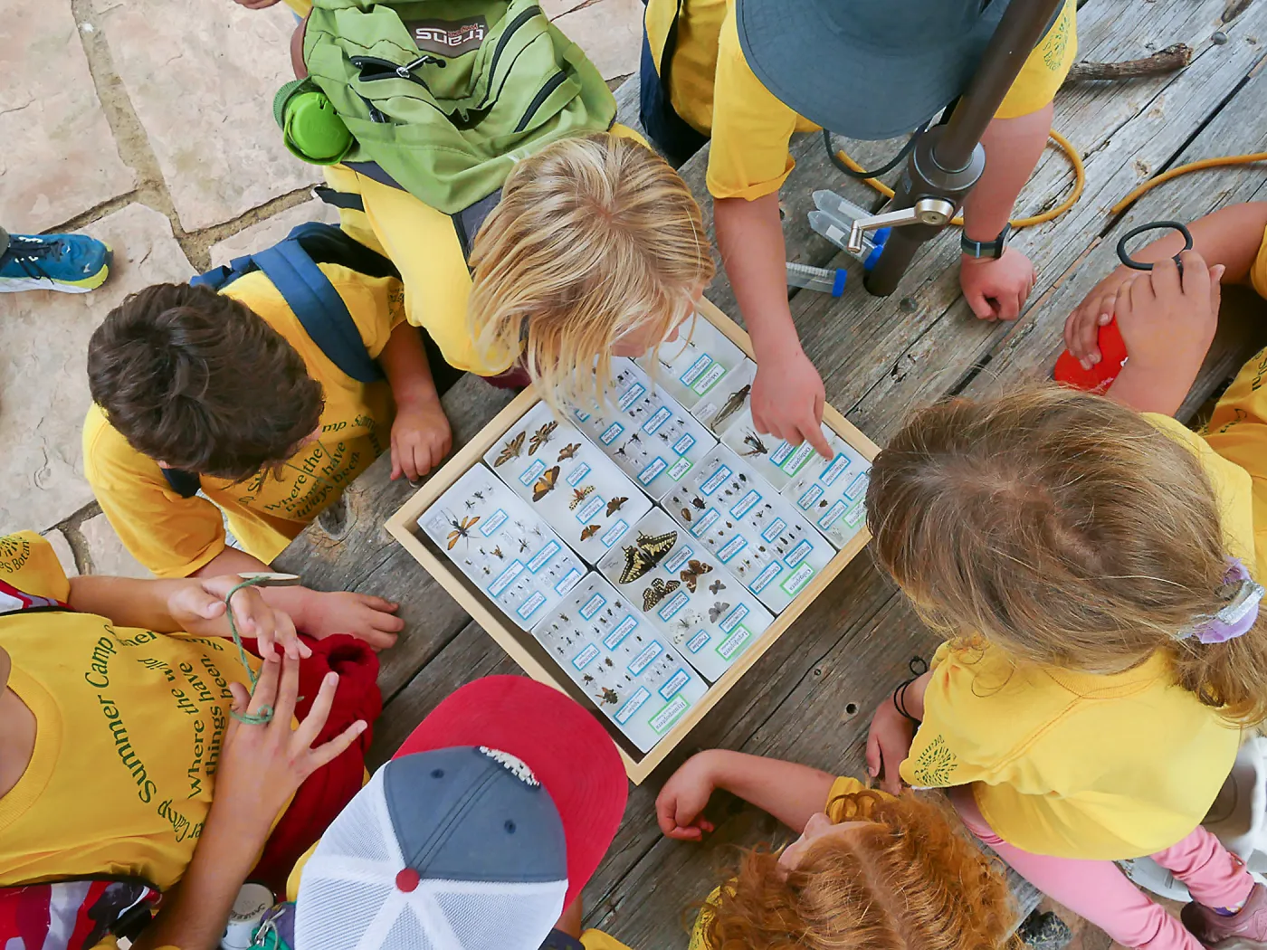 Neighbors in Nature Camp, Beat sheeting activity