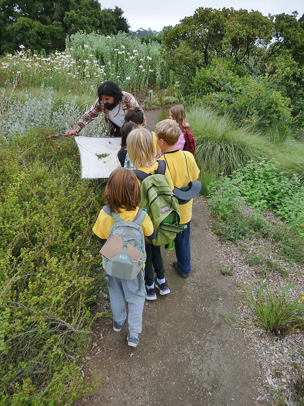 Neighbors in Nature Camp, Beat sheeting activity