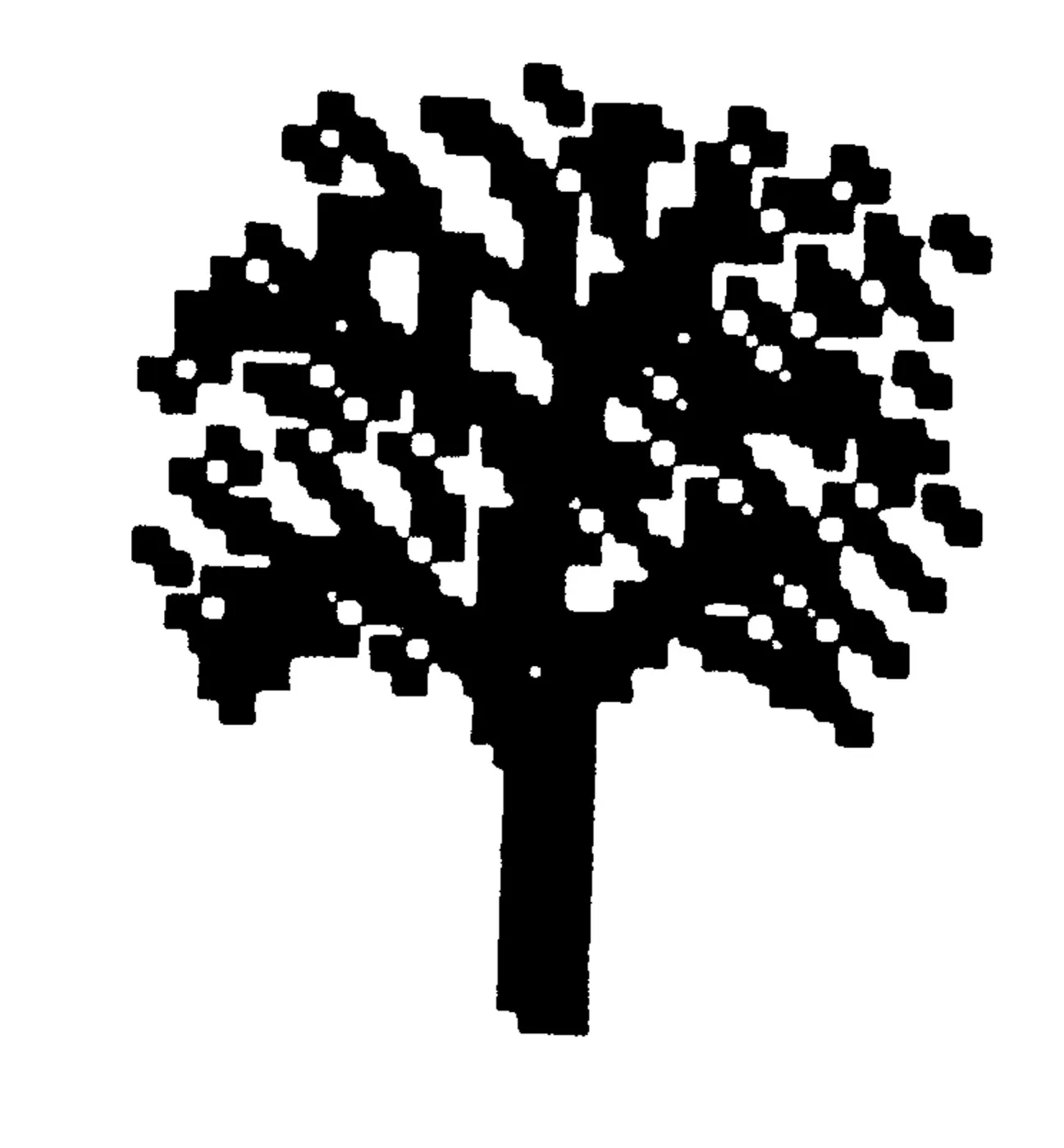 Oak