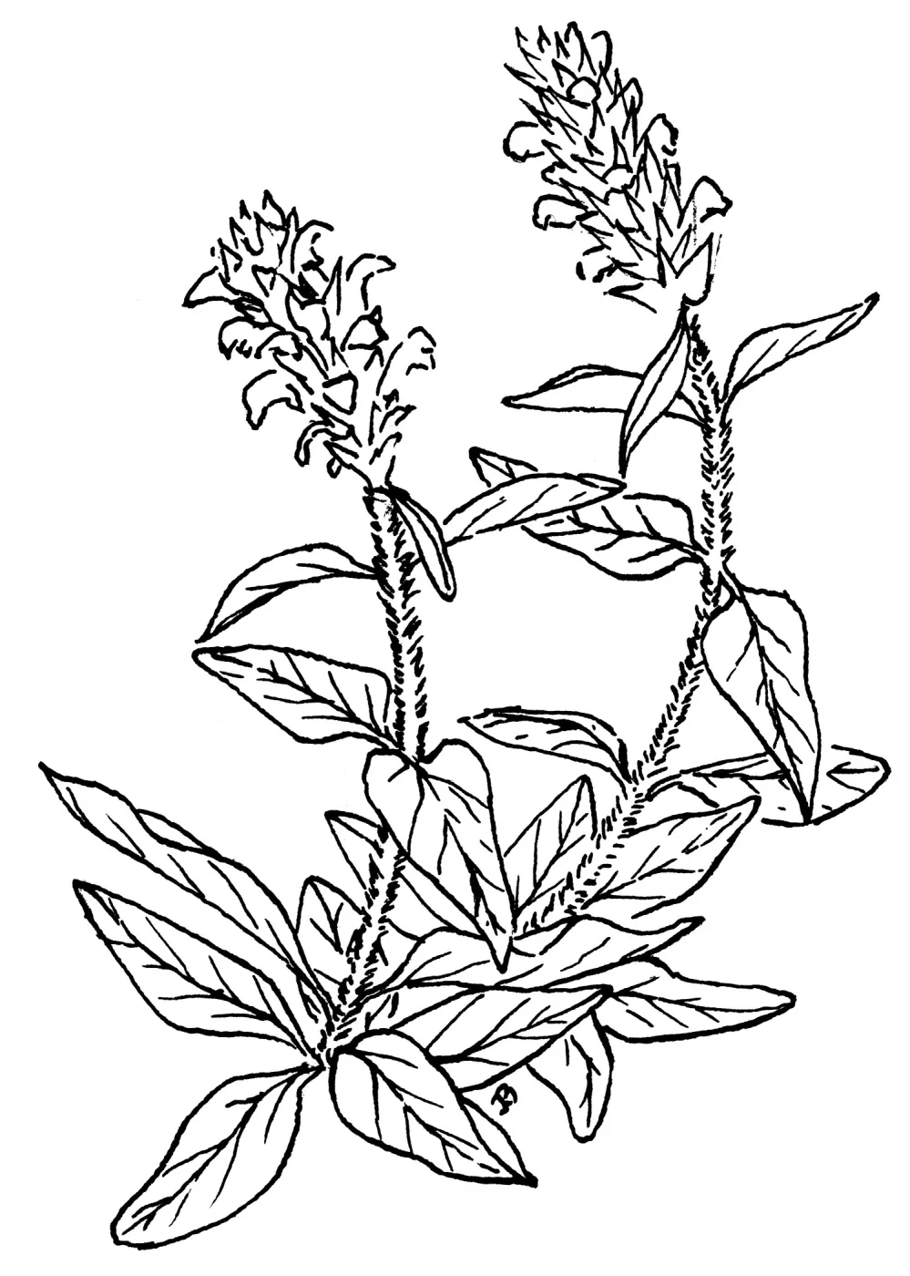 Self Heal