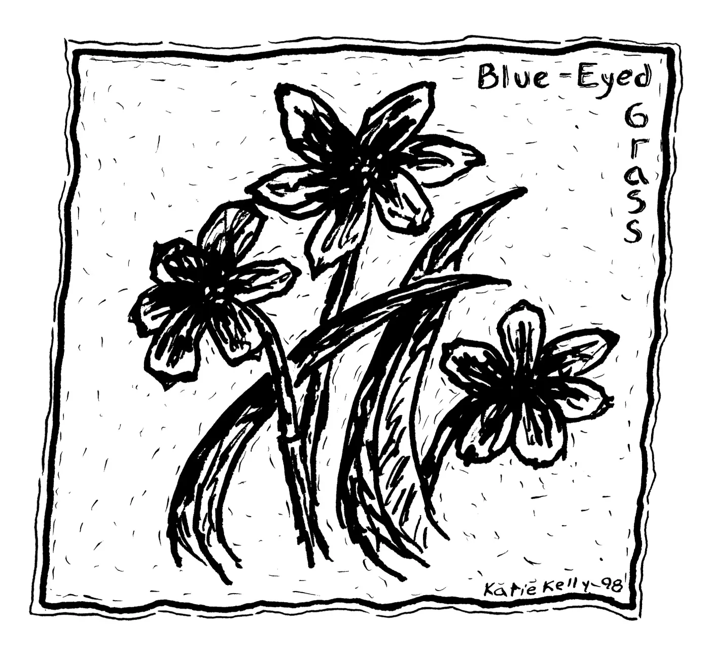 Blue Eyed Grass