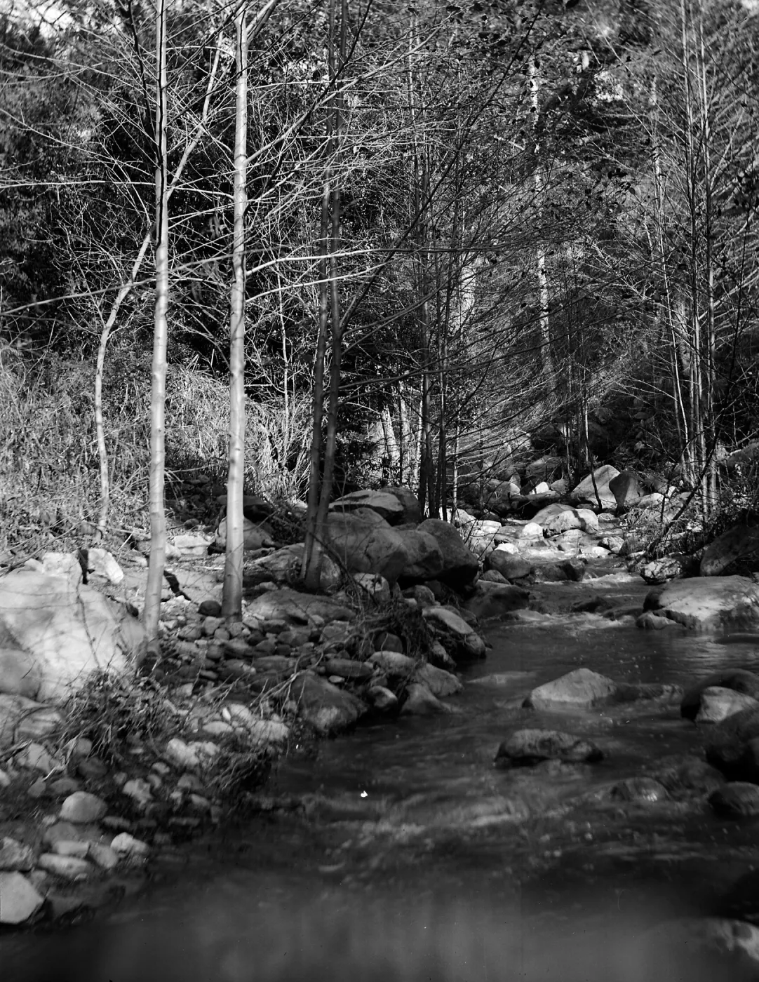 Mission Creek