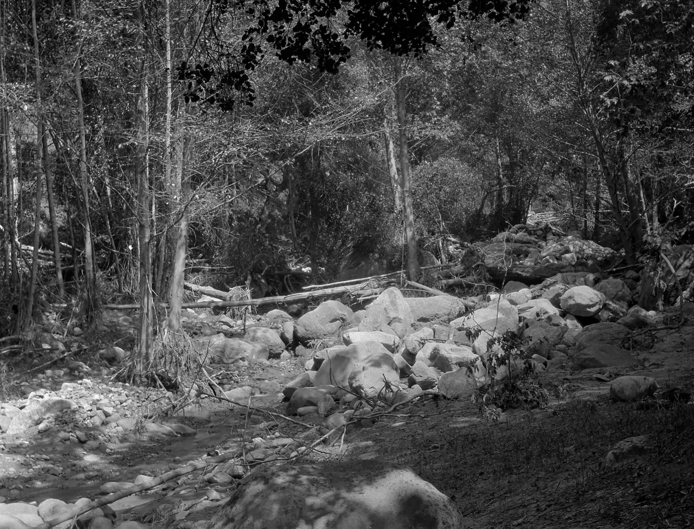 Mission Creek
