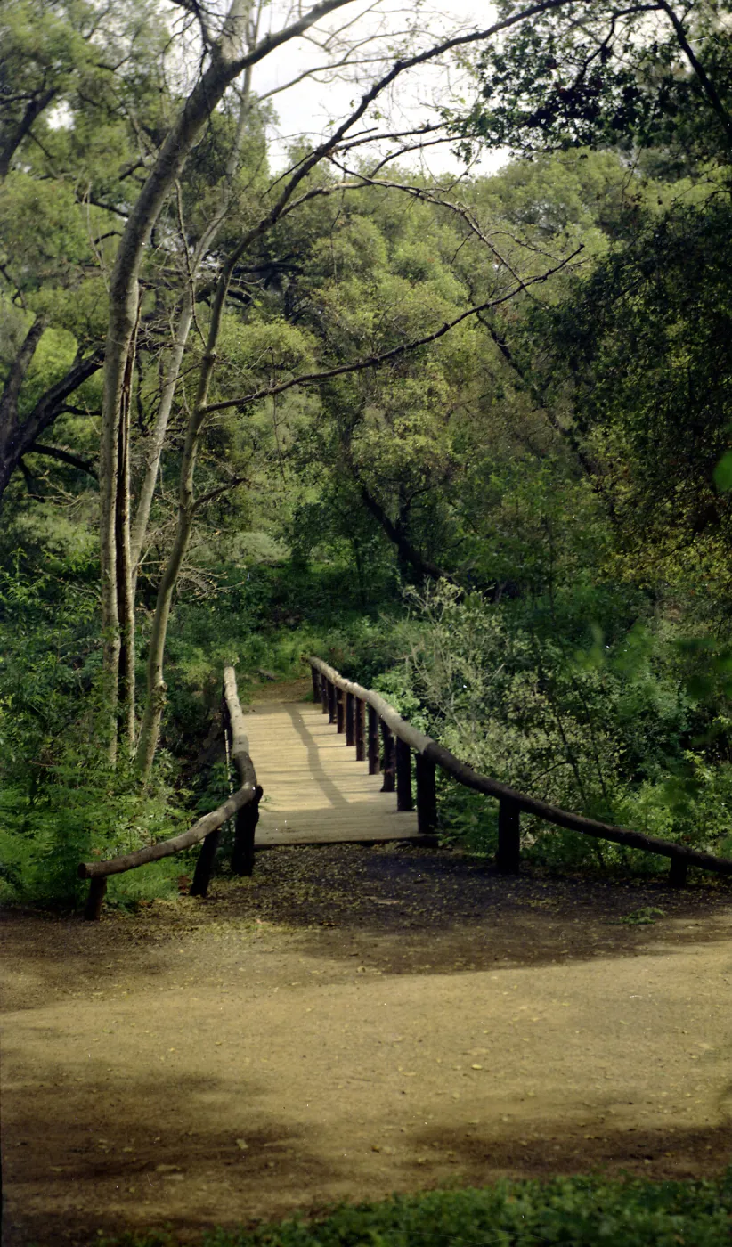 Campbell Bridge