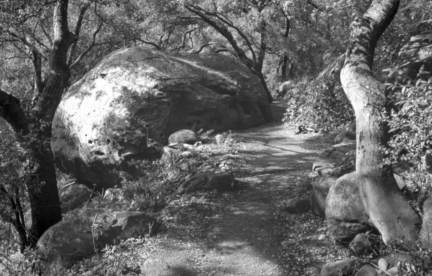 Pritchett Trail