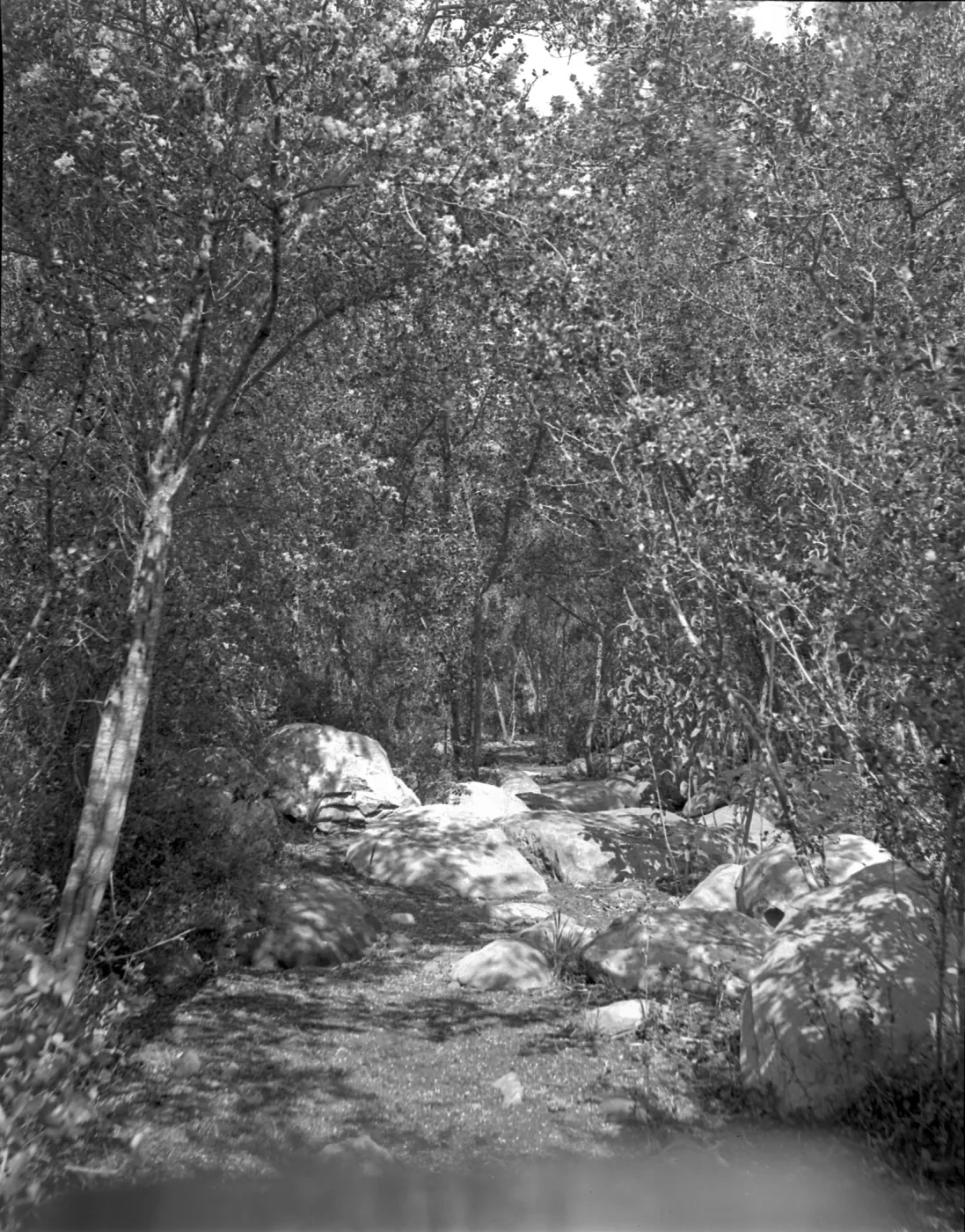 Unknown location in the Garden