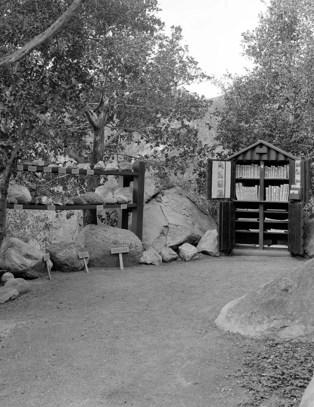 Historic Library cabinet and the Geology Exhibit