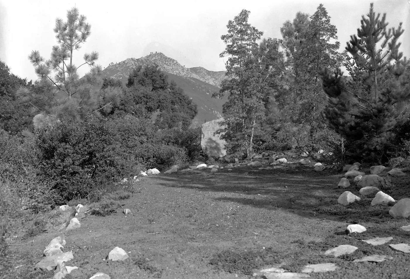 Historic Island section looking north to entry boulders