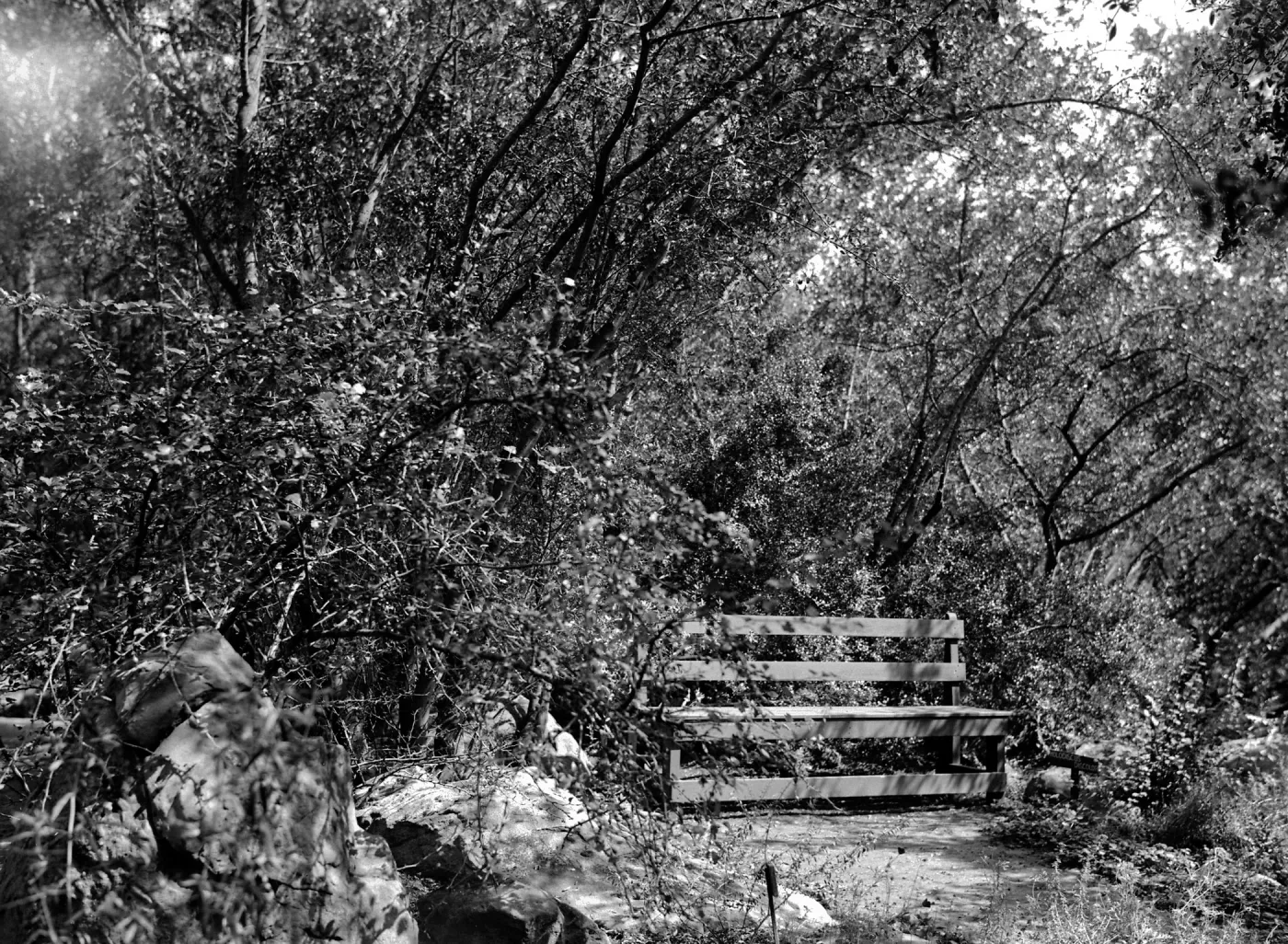 Bench used in Garden during 1920s and 1930s