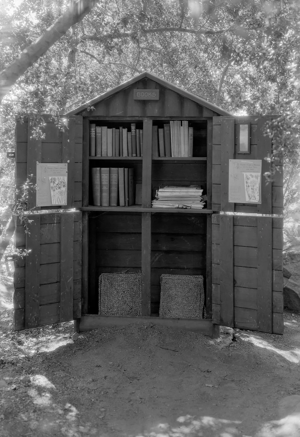 Original library in Meadow Oaks