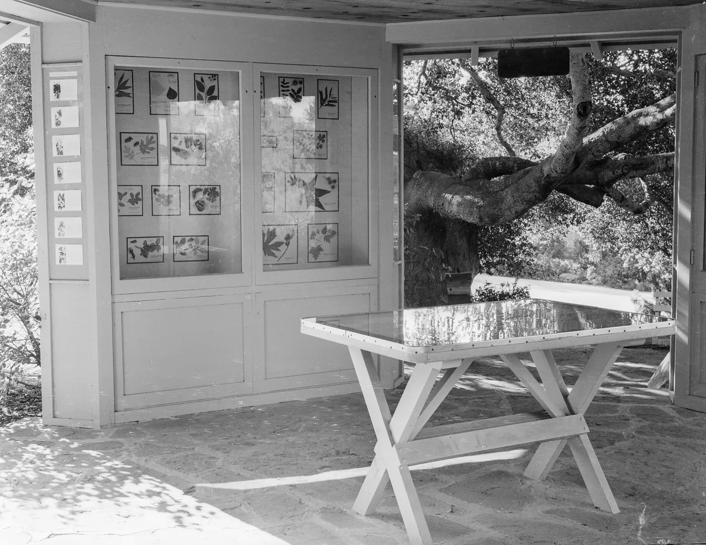 Information Kiosk