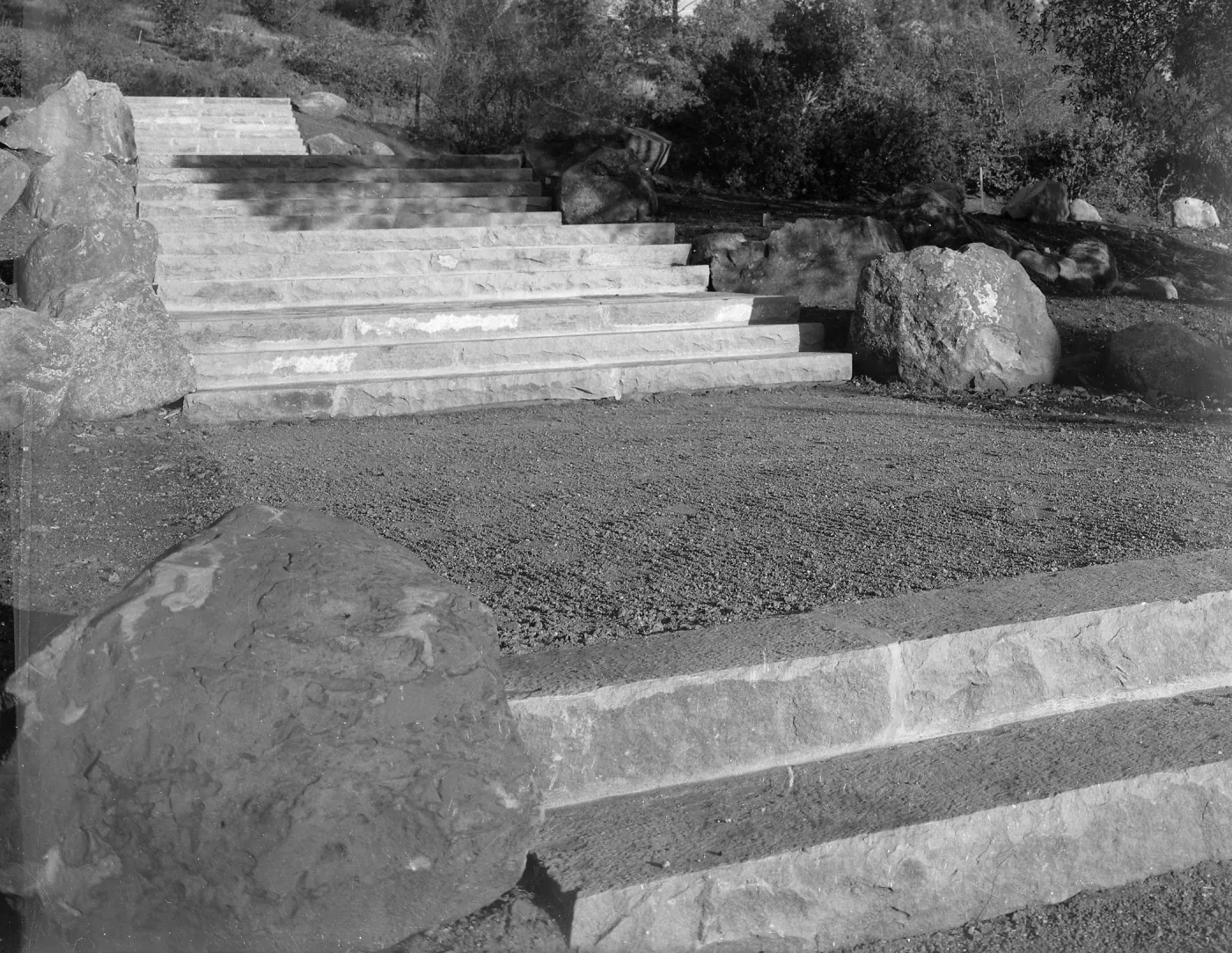 Clara Small Smith Steps