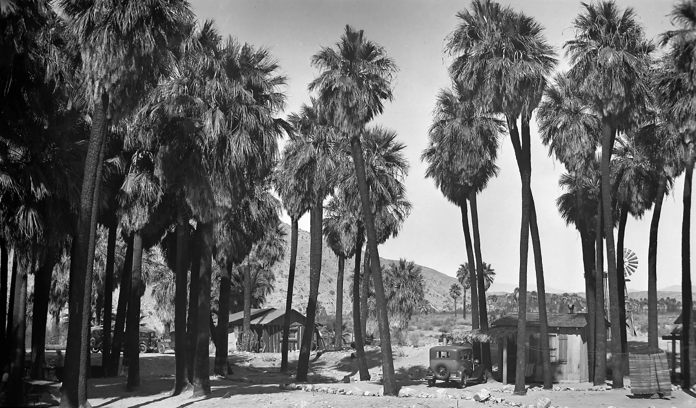 Thousand Palms, palms, buildings, auto, windmill