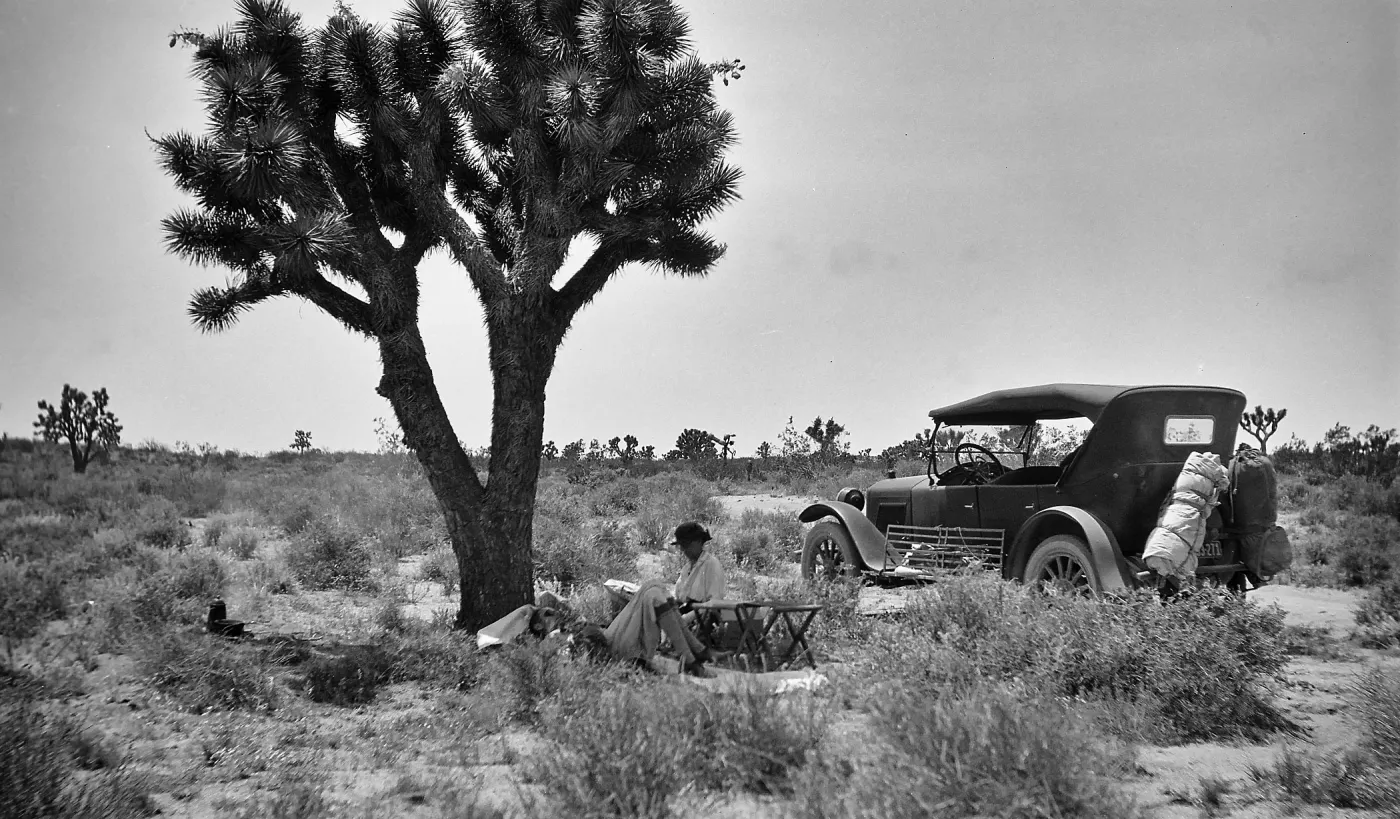 Black and white photograph of a man, reclined, and a woman, seated, beneath a palm tree and next to a black automobile.