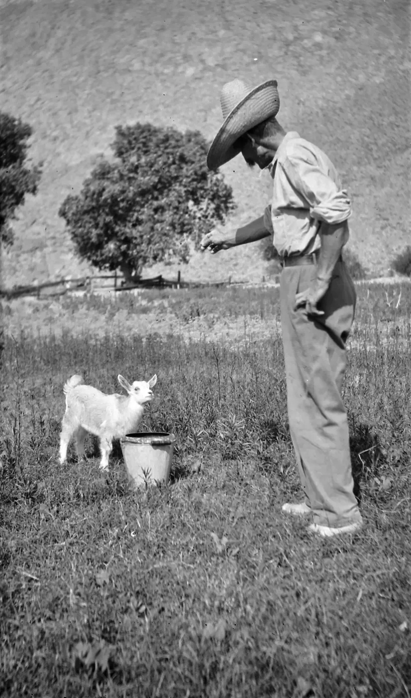 Black and white photograph of a man in a hat feeding a white baby goat, with a tree and hillside in the background.