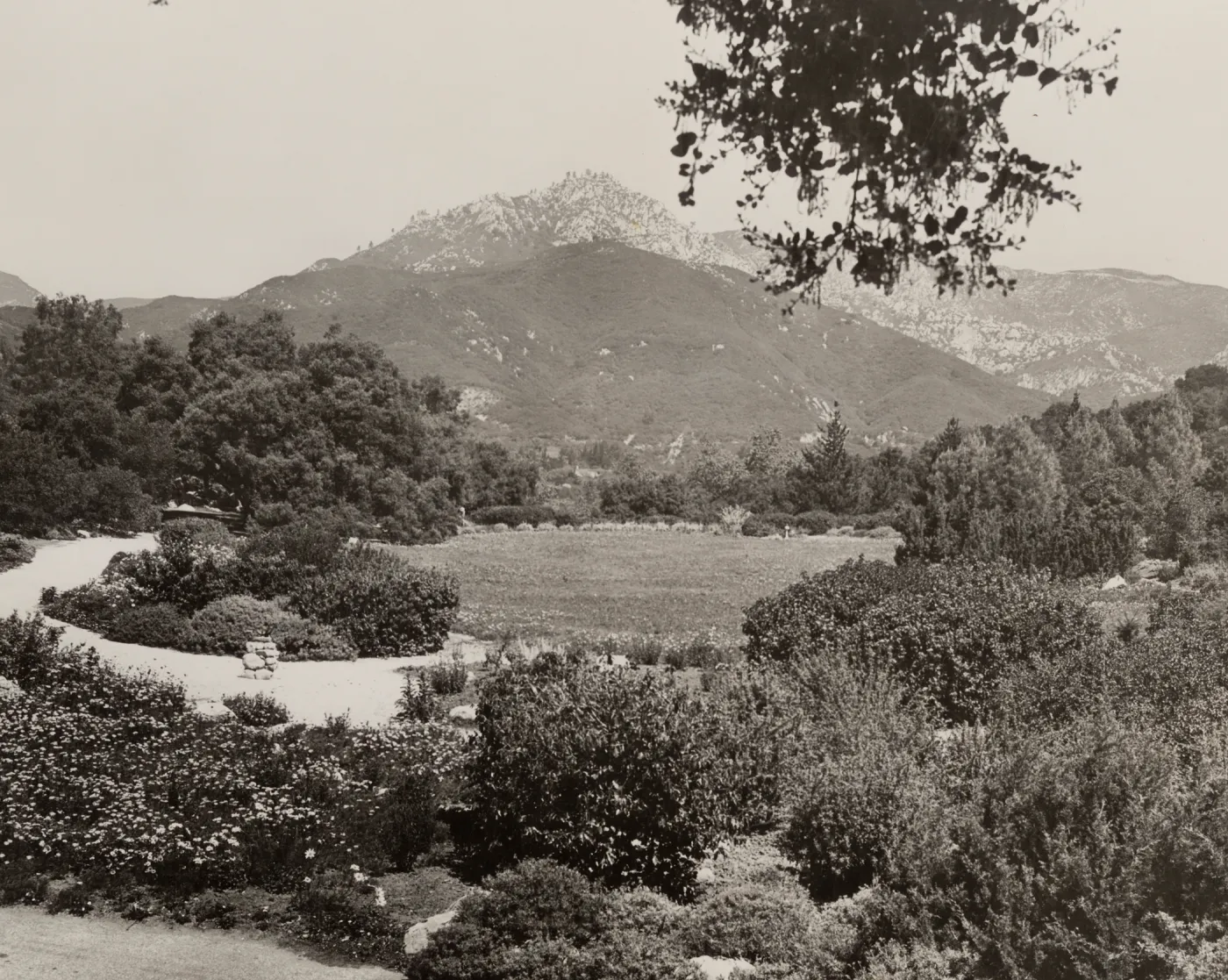 Blaksley Botanic Garden in 1930s?