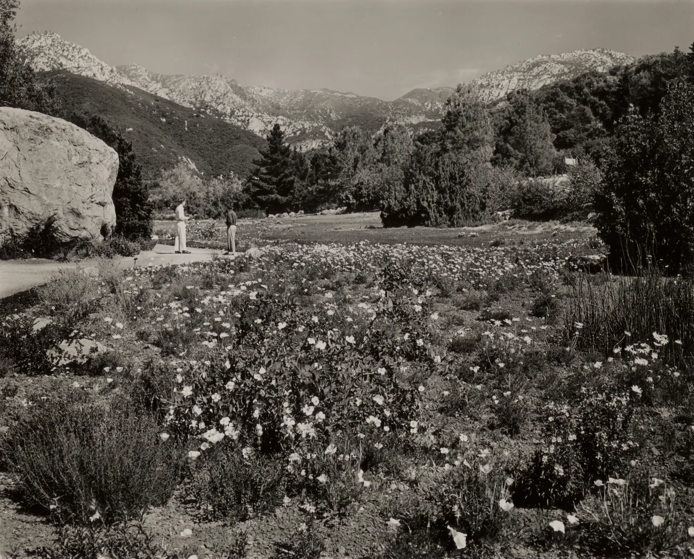 The Strawberry Meadow, © Josef Muench