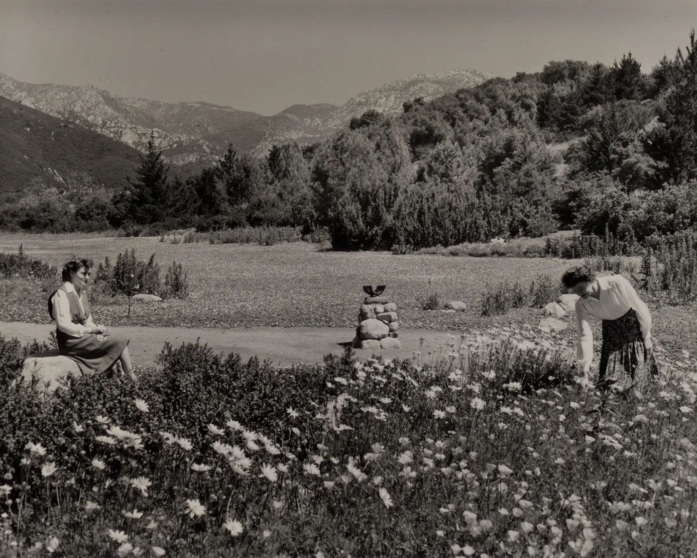 The Strawberry Meadow, © Josef Muench