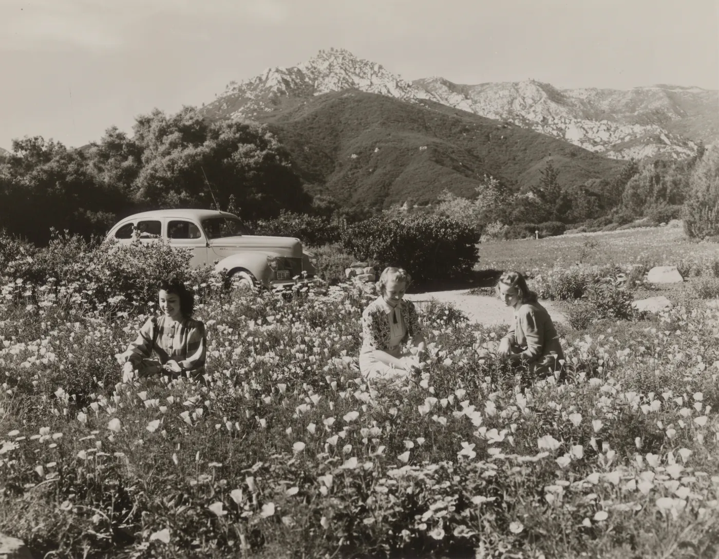 young ladies and an automobile in the Meadow, 1940s