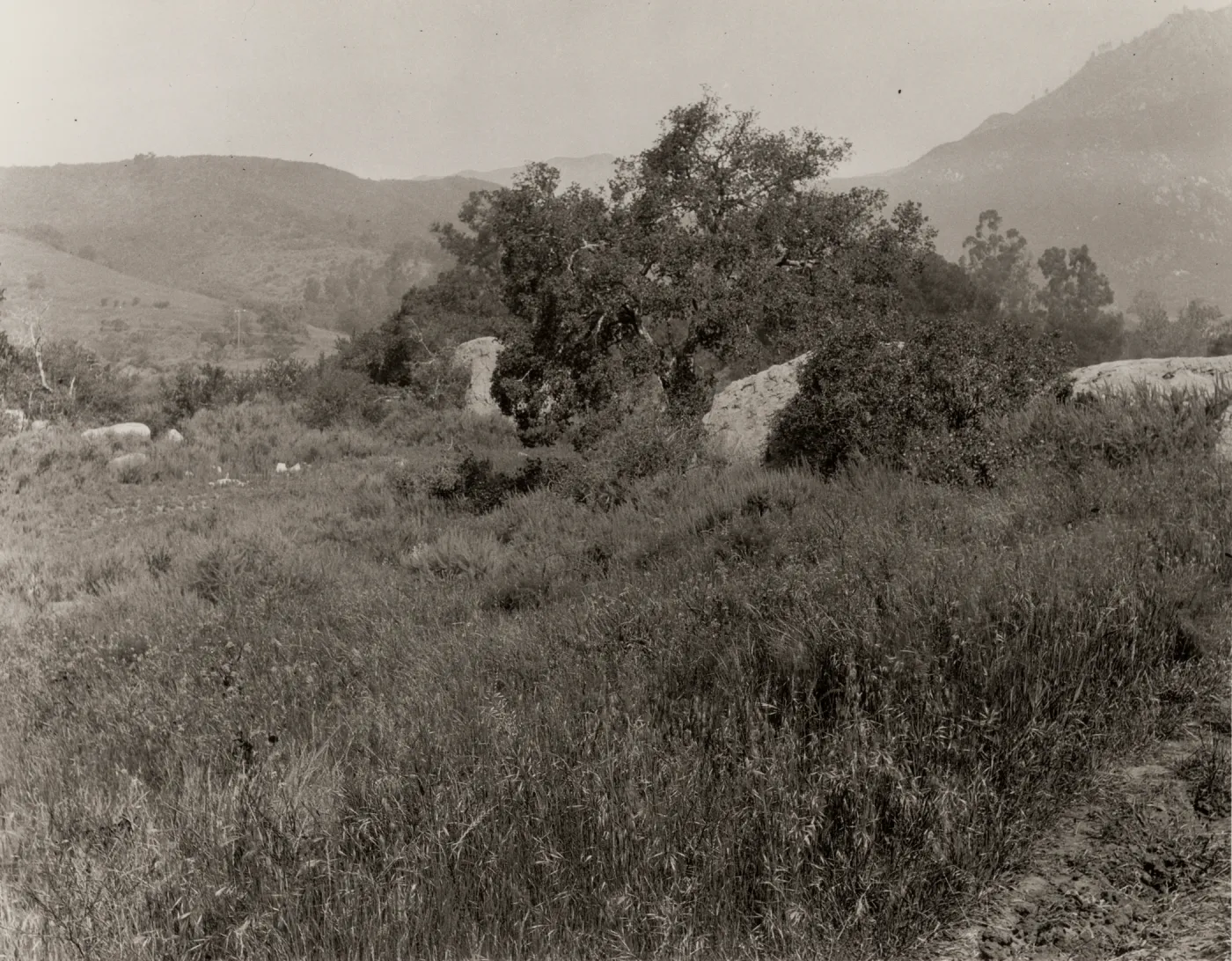 two entrance boulders & Blaksley Boulder behind, circa 1926