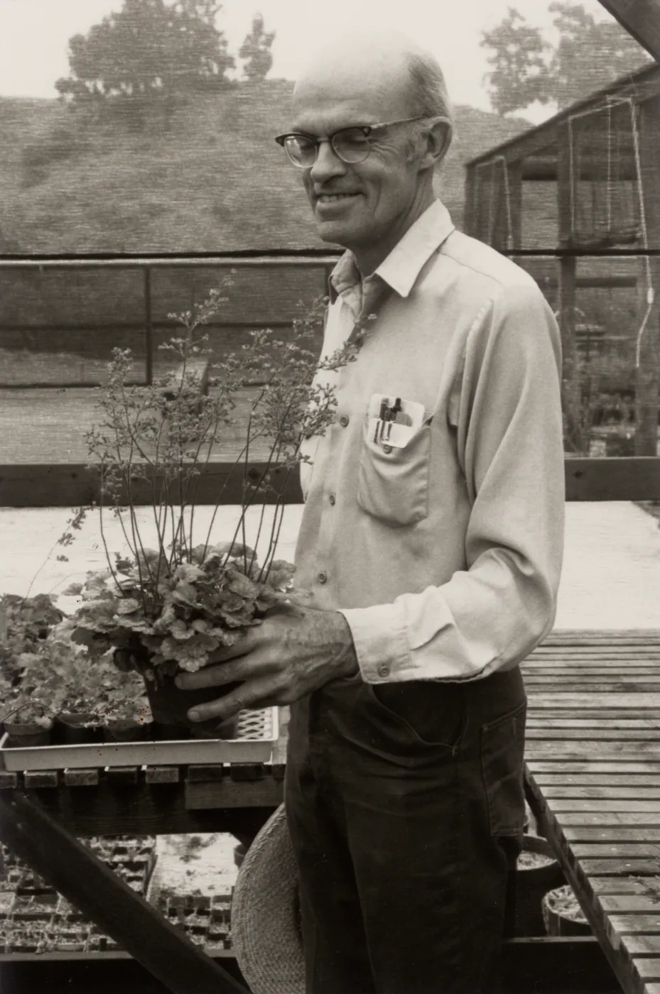 Dara Emery with Heuchera plant, Spring 1983