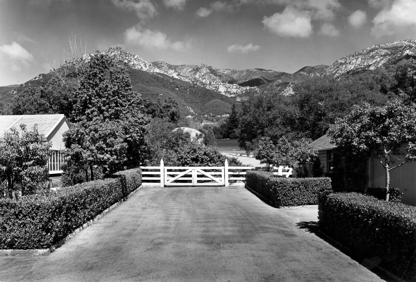 Courtyard with Rhus integrifolia hedge, view of Santa Ynez Mountains