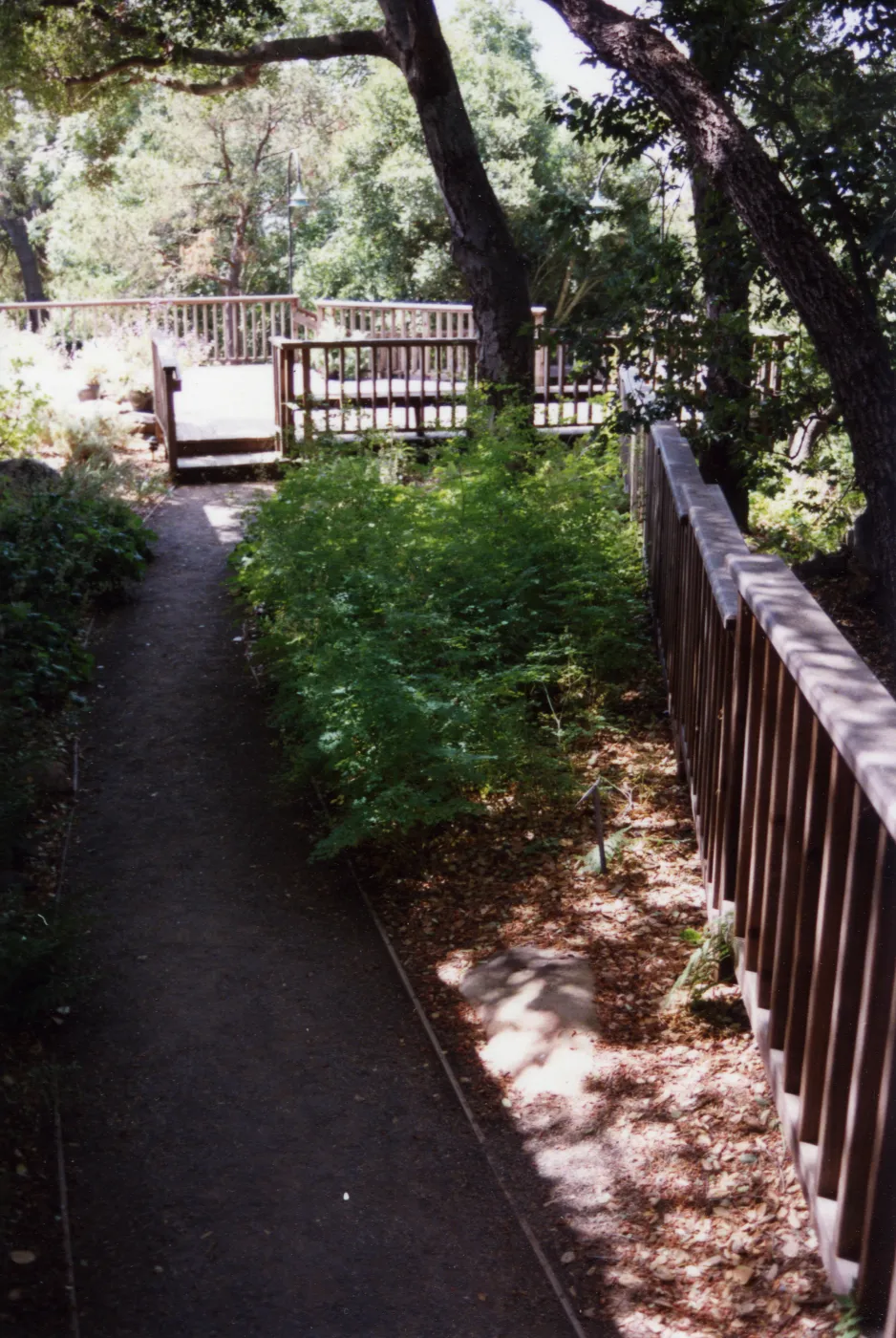 SBBG Home Demonstration Garden Deck