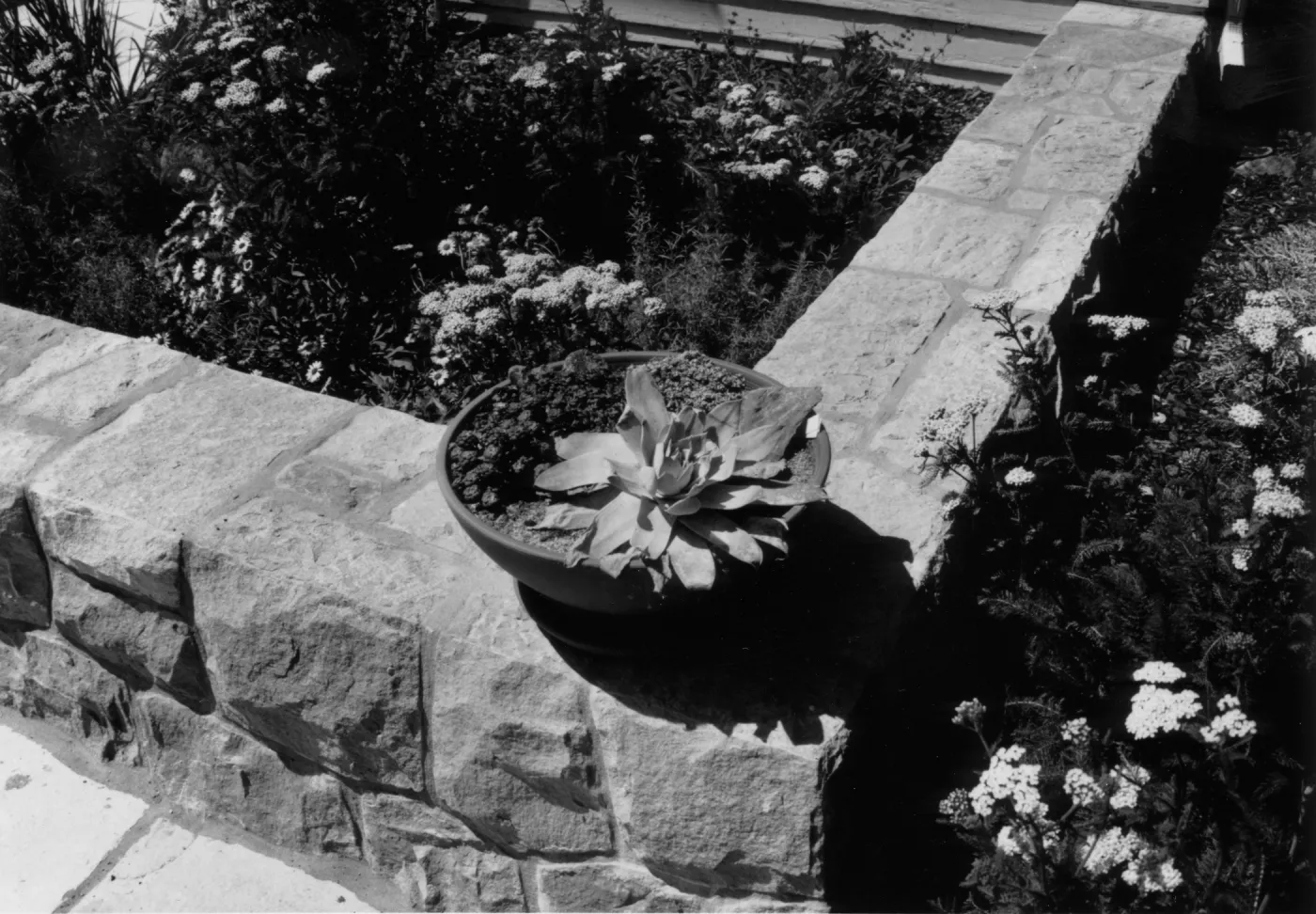 SBBG Home Demonstration Garden