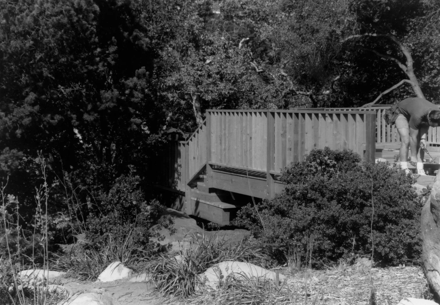 Construction of the SBBG Home Demonstration Garden Deck